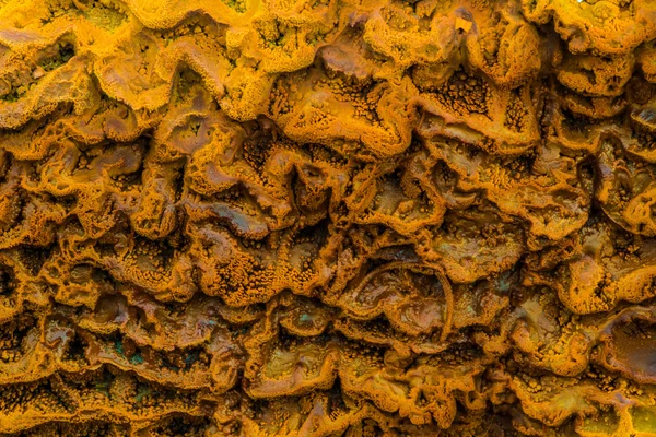 Ученые обнаружили известняковую травертину у хрустального гейзера в штате Юта — стоковое фото
