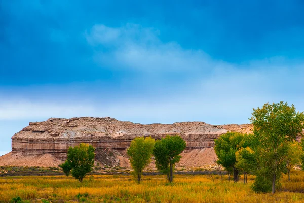 Árboles de Otoño en el Cañón Utah Fall Landscape — Foto de Stock