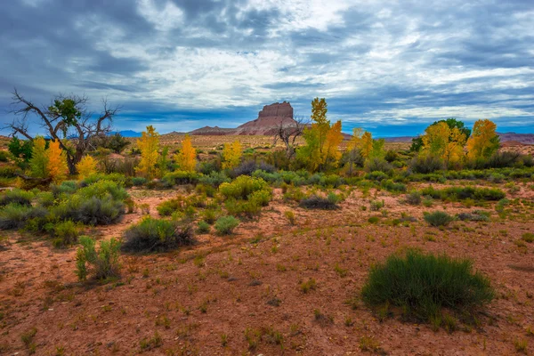 Wild Horse Butte Fall Colors and Beautiful Dramatic Sky Utah Lan — Stock Photo, Image