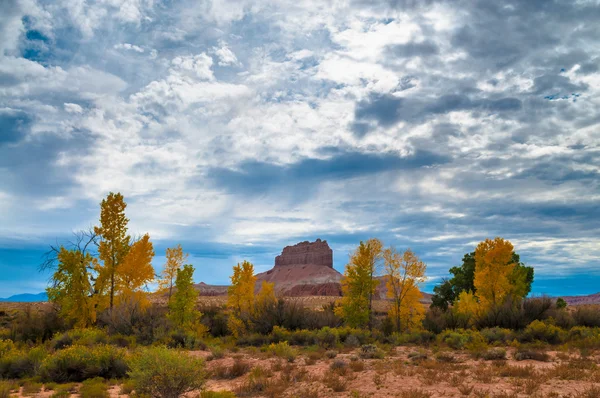 Wild paard Butte Fall kleuren en mooie dramatische hemel Utah Lan — Stockfoto