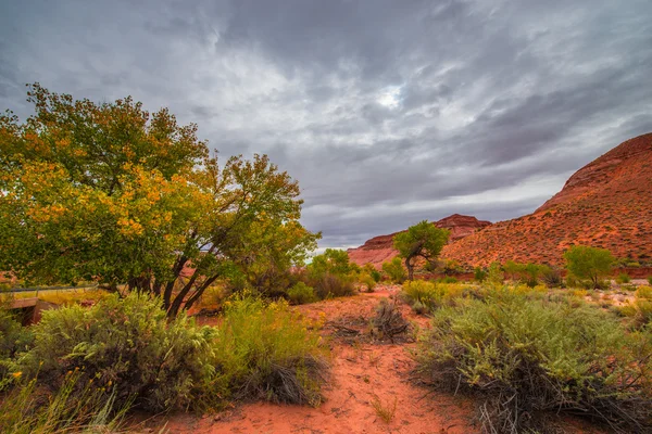 Dramatiska moln höstfärger Utah landskap — Stockfoto