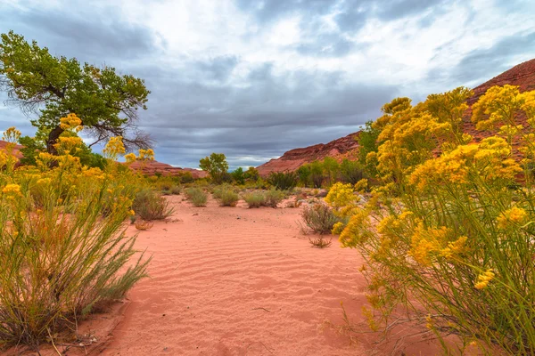 Dramatic Clouds Fall Colors Utah Landscape — Stock Photo, Image