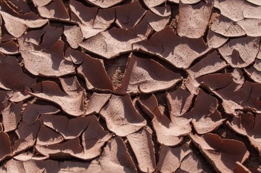 Kuru kırık alt bir göl dokulu arka plan