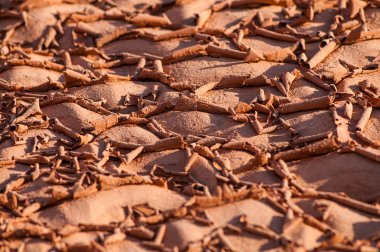 Kuru kırık alt bir göl dokulu arka plan