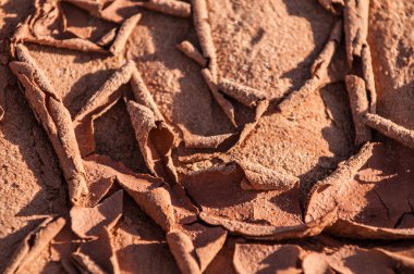 Kuru kırık alt bir göl dokulu arka plan