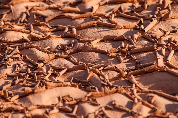 Kuru kırık alt bir göl dokulu arka plan