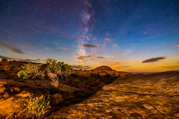 Milky Way over the Canyon Single Tree lid by rising moon light — Stock Photo, Image