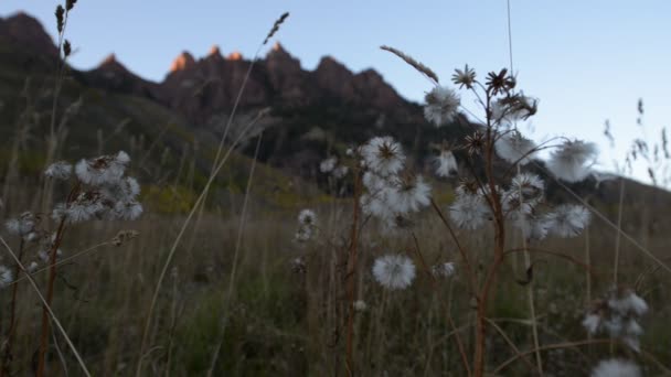 Montañas Rojas cerca de Maroon Bells Colorado Landscape — Vídeos de Stock
