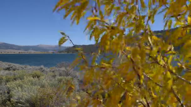Sarı sonbahar ağaç Twin Gölü arkadaki Colorado manzara rüzgar tarafından taşındı — Stok video