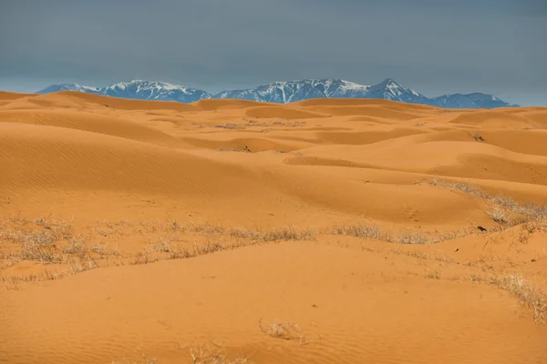 Paysage du désert avec de hautes montagnes — Photo