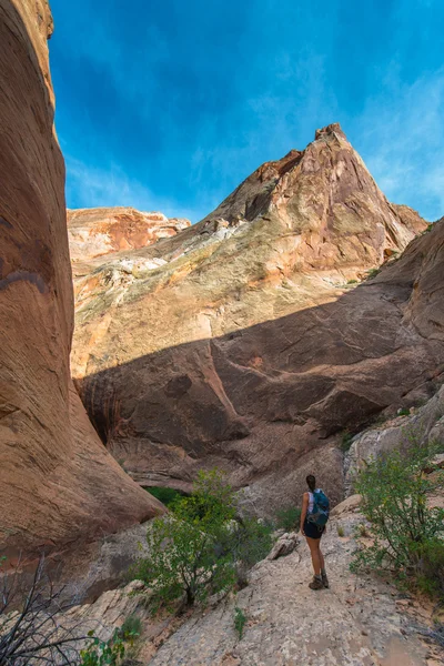 Flicka vandrare i en Brimhall Natural Bridge Trail Capitol Reef Nati — Stockfoto