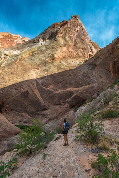 Flicka vandrare i en Brimhall Natural Bridge Trail Capitol Reef Nati — Stockfoto