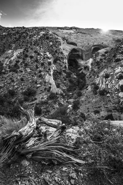 Brimhall Natural Bridge Capitol Reef National Park — Photo