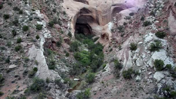 Brimhall Natural Bridge Capitol Reef nasjonalpark – stockvideo