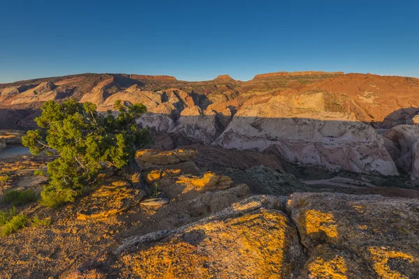 Capital Reef National Park Halls Creek kijken bij zonsopgang — Stockfoto