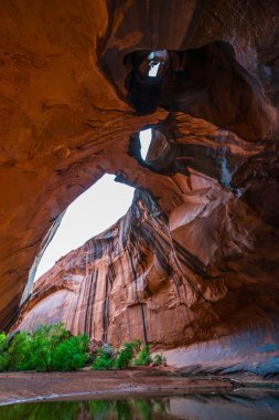 Altın katedral neon Kanyon escalante ulusal park utah