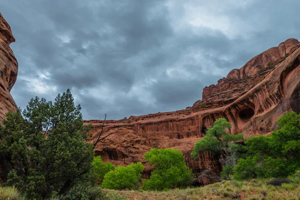 Neon canyon efter regn storm utah landskapet — Stockfoto