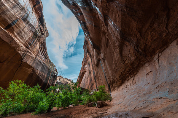 Neon Canyon after the rain storm Utah Landscape