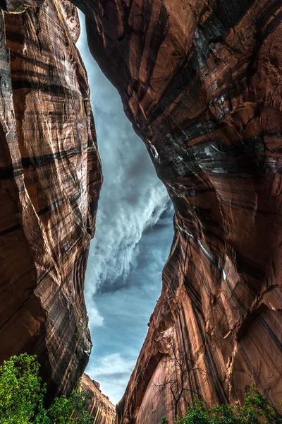 Неоновый каньон после дождевой бури — стоковое фото