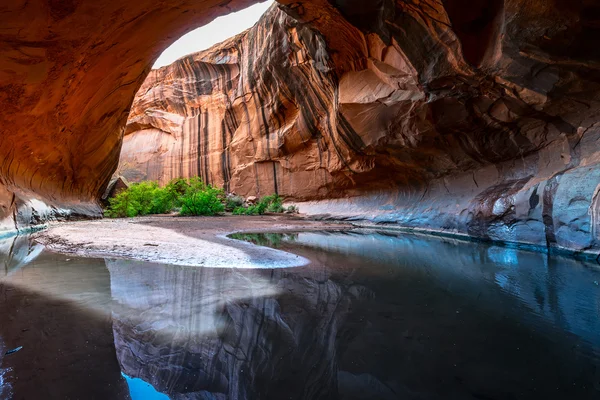 Gyllene domkyrka neon canyon escalante national park utah — Stockfoto