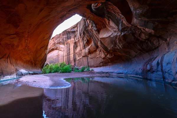 Golden Cathedral Neon Canyon Escalante National Park Utah — Stock Photo, Image