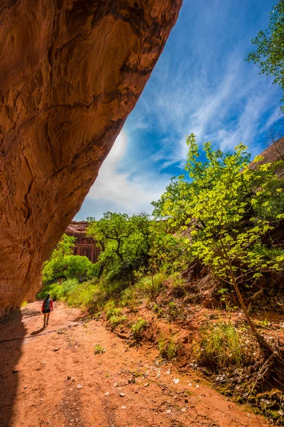 Hiker Backpacker in the Neon Canyon Utah — Stock Photo, Image