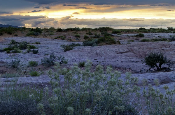 Deserto Tramonto Utah Paesaggio Grande Scalinata Escalante — Foto Stock
