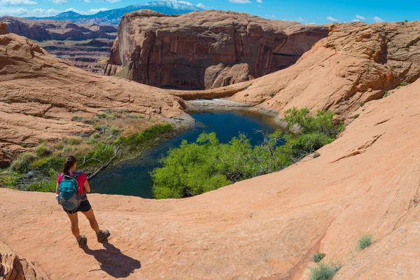 Hiker Backpacker looking at small oasis Lake Powell — Stock fotografie