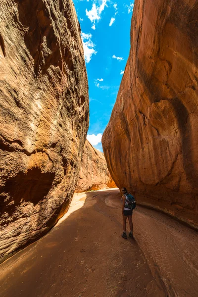 Hiker Backpacker Brimstone Gulch torr gaffel smalnar av Coyote — Stockfoto