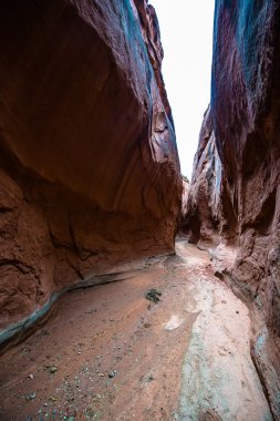 Brimstone Gulch Dry Fork Narrows of Coyote