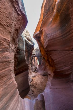 CE Gulch 