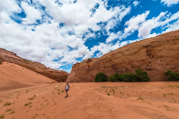 Wandelaar Backpacker Brimstone Gulch droge vork Narrows van Coyote — Stockfoto