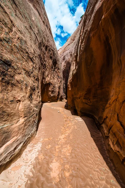 Brimstone Gulch Dry Fork Narrows of Coyote — стокове фото