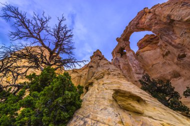 Grosvenor Arch