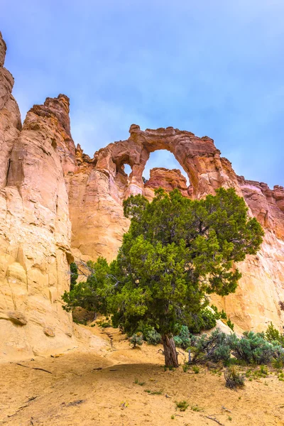 Grosvenor Arch — Stock Photo, Image