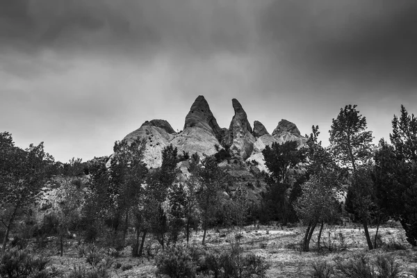 Siyah ve beyaz manzara Utah Cottonwood kanyon yolu — Stok fotoğraf