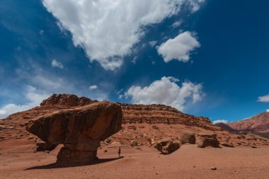 Coconino ilçe Arizona dengeli Rock Lees feribot