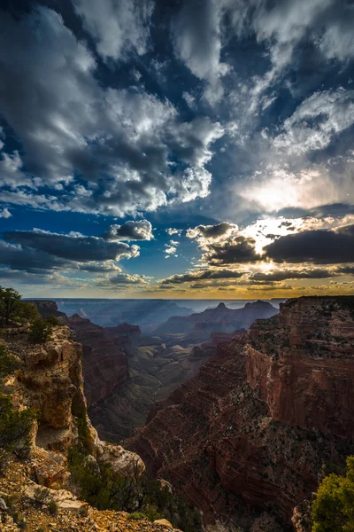 Grand Canyon Nordrand Kap Royal Blick bei Sonnenuntergang — Stockfoto