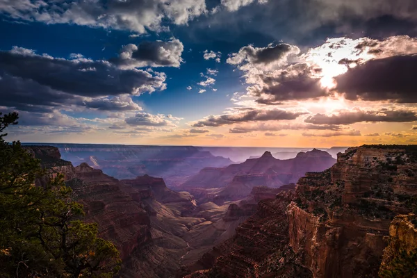 Grand Canyon Nordrand Kap Royal Blick bei Sonnenuntergang — Stockfoto