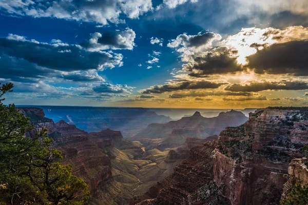 Grand canyon północnej krawędzi — Zdjęcie stockowe