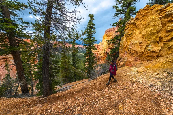 Kvinnan Backpacker vandring ner från Ponderosa Canyon Bryce National — Stockfoto