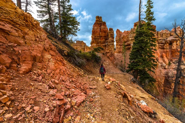 Woman Backpacker hiking down the Ponderosa Canyon Bryce National — Stock Photo, Image