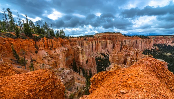 Parque Nacional Ponderosa Canyon Bryce — Foto de Stock