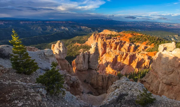 Tapa del cañón Ponderosa por Hermosa luz del atardecer — Foto de Stock