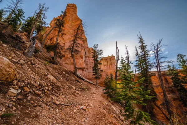 Sendero Ponderosa buscando Bryce Canyon — Foto de Stock