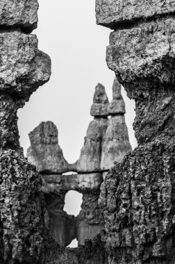 Siyah ve beyaz Bryce Canyon