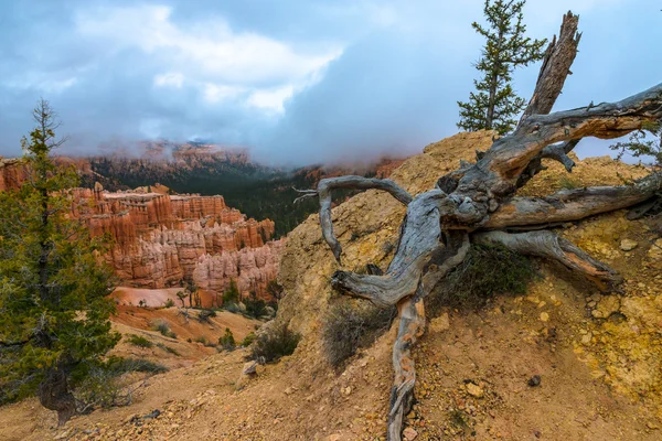 Bryce Canyon paisaje — Foto de Stock
