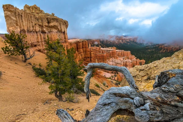 Bryce Canyon Landscape — Stock Photo, Image