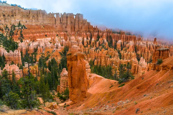 Yağmurlu bir gün Bryce Canyon — Stok fotoğraf