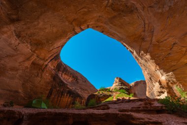 Camping in Coyote Gulch clipart